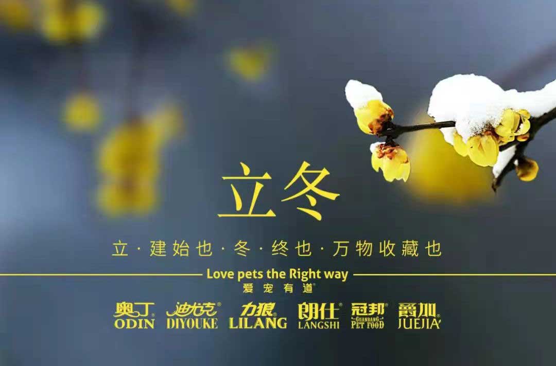 立冬丨冬寒初始，情暖愈濃